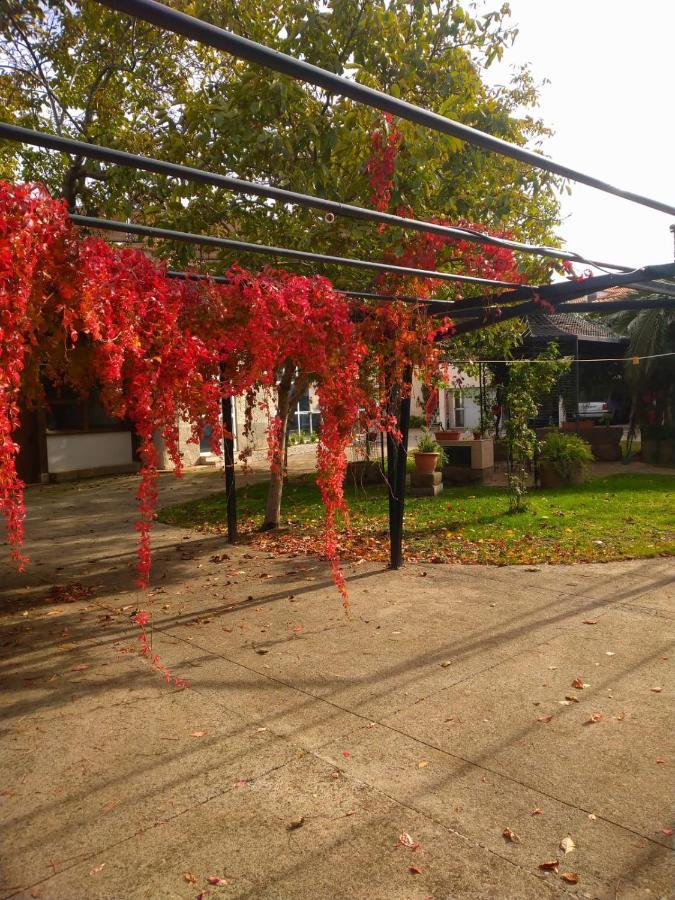 Casa Rural Del Corral 马尔帕蒂达德普拉森 外观 照片