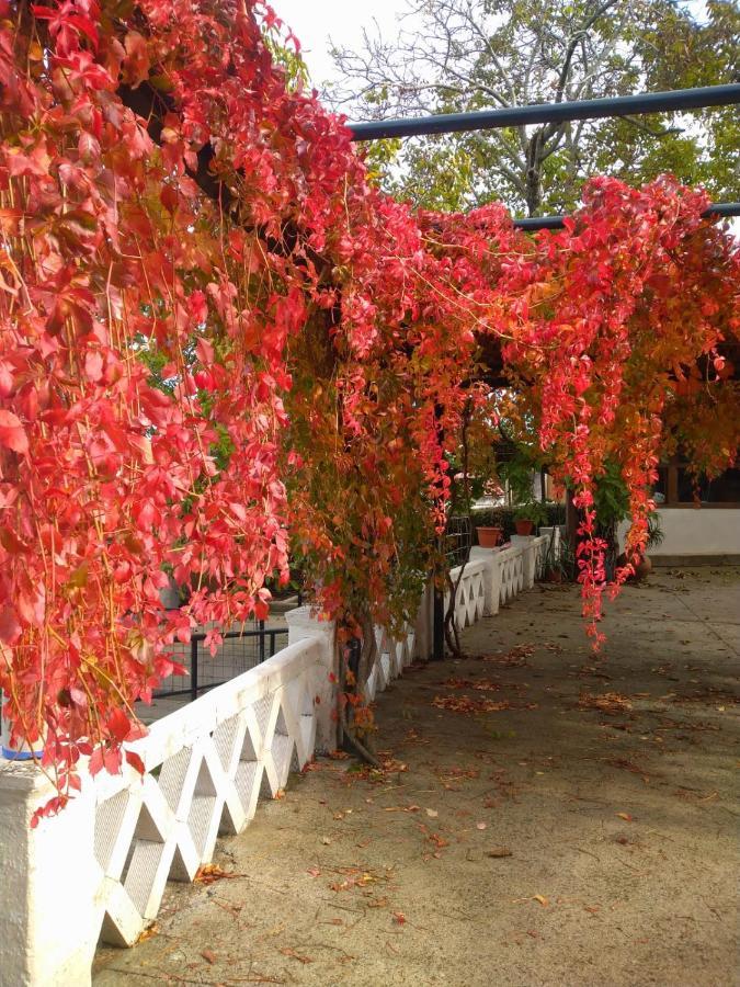 Casa Rural Del Corral 马尔帕蒂达德普拉森 外观 照片