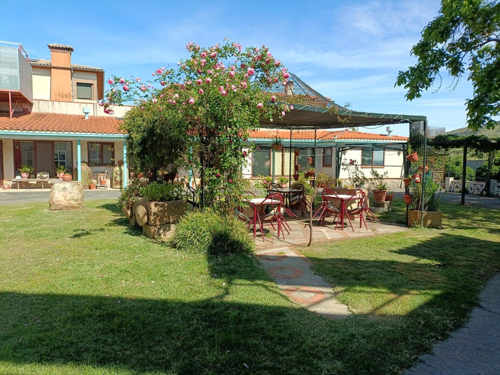 Casa Rural Del Corral 马尔帕蒂达德普拉森 外观 照片