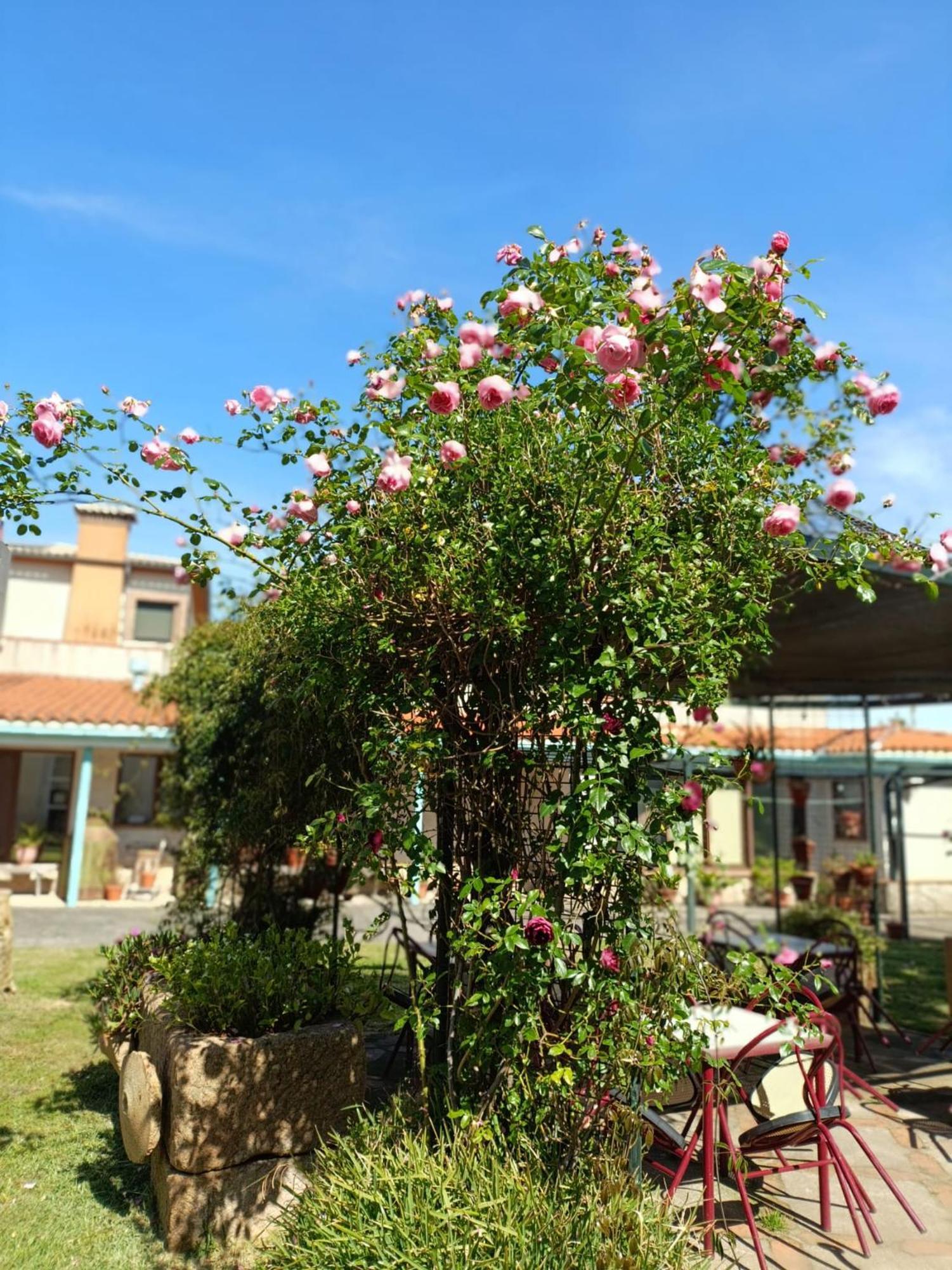 Casa Rural Del Corral 马尔帕蒂达德普拉森 外观 照片