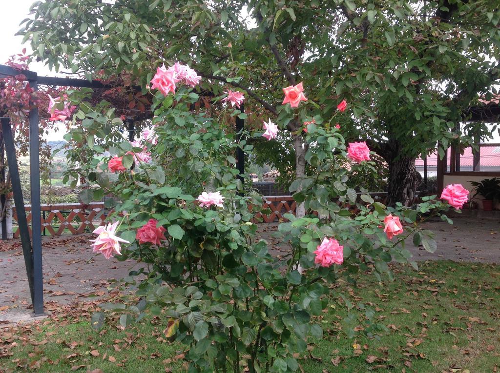Casa Rural Del Corral 马尔帕蒂达德普拉森 外观 照片